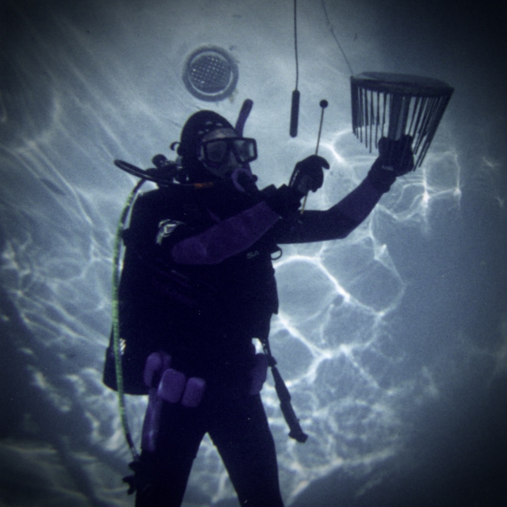Underwater scene showing a person in scuba gear performing a metal instrument.
